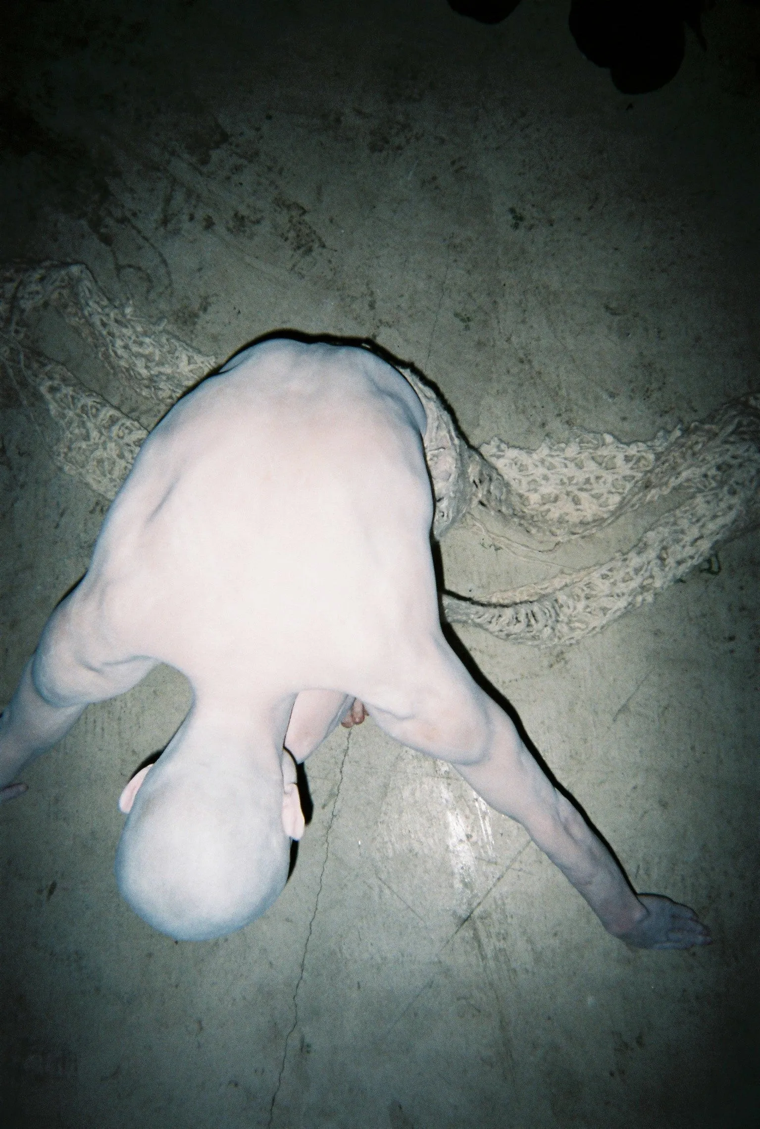 Pop-up Exhibition Domicile Tokyo