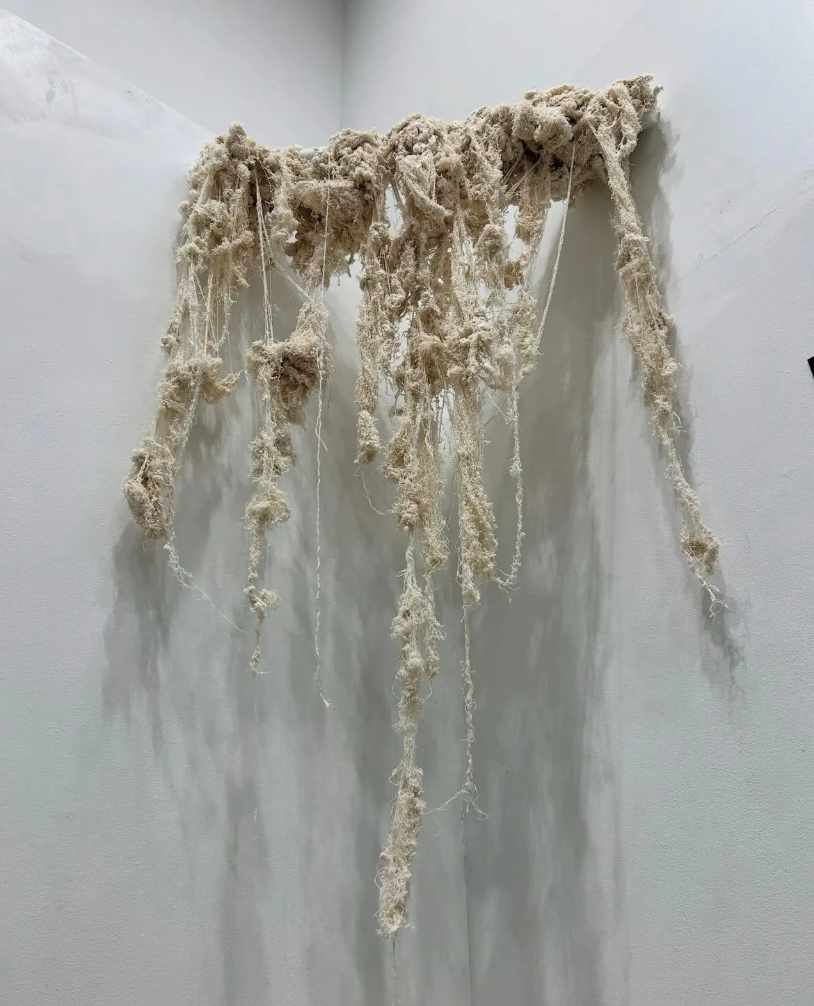 Pop-up Exhibition Domicile Tokyo