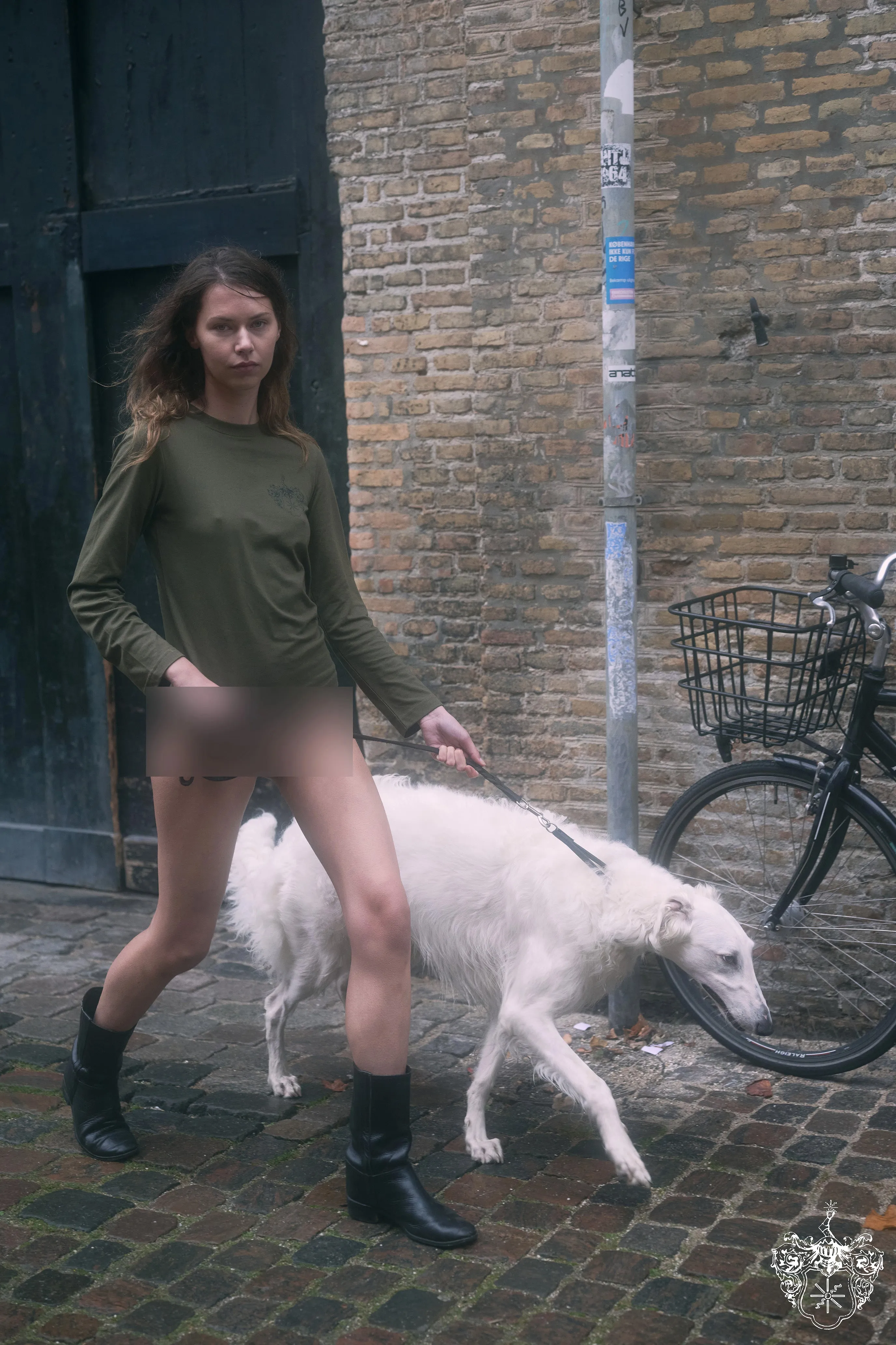 'Crest' Longsleeve T-Shirt Campaign