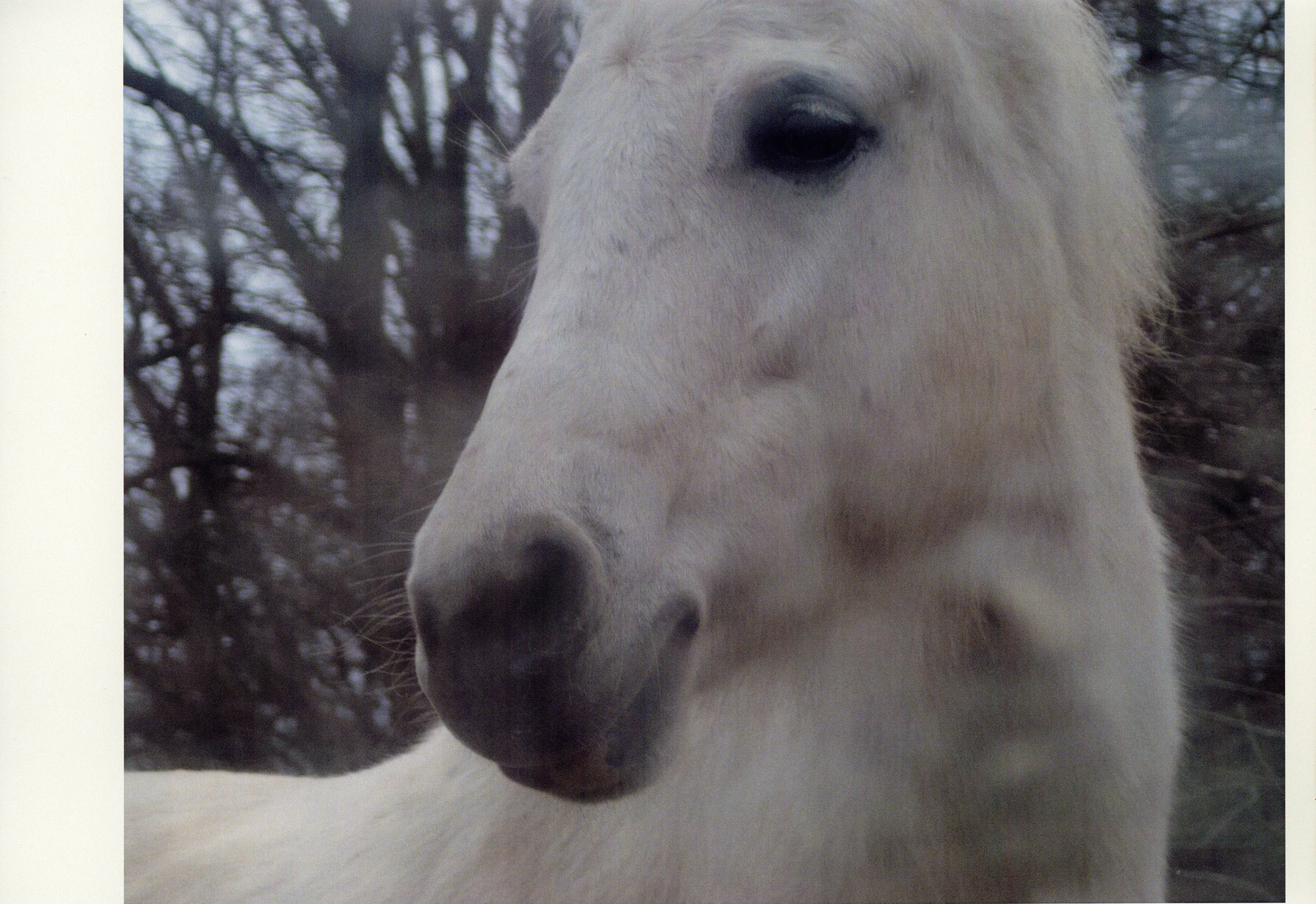 Campaign with Maja Lumholt 3