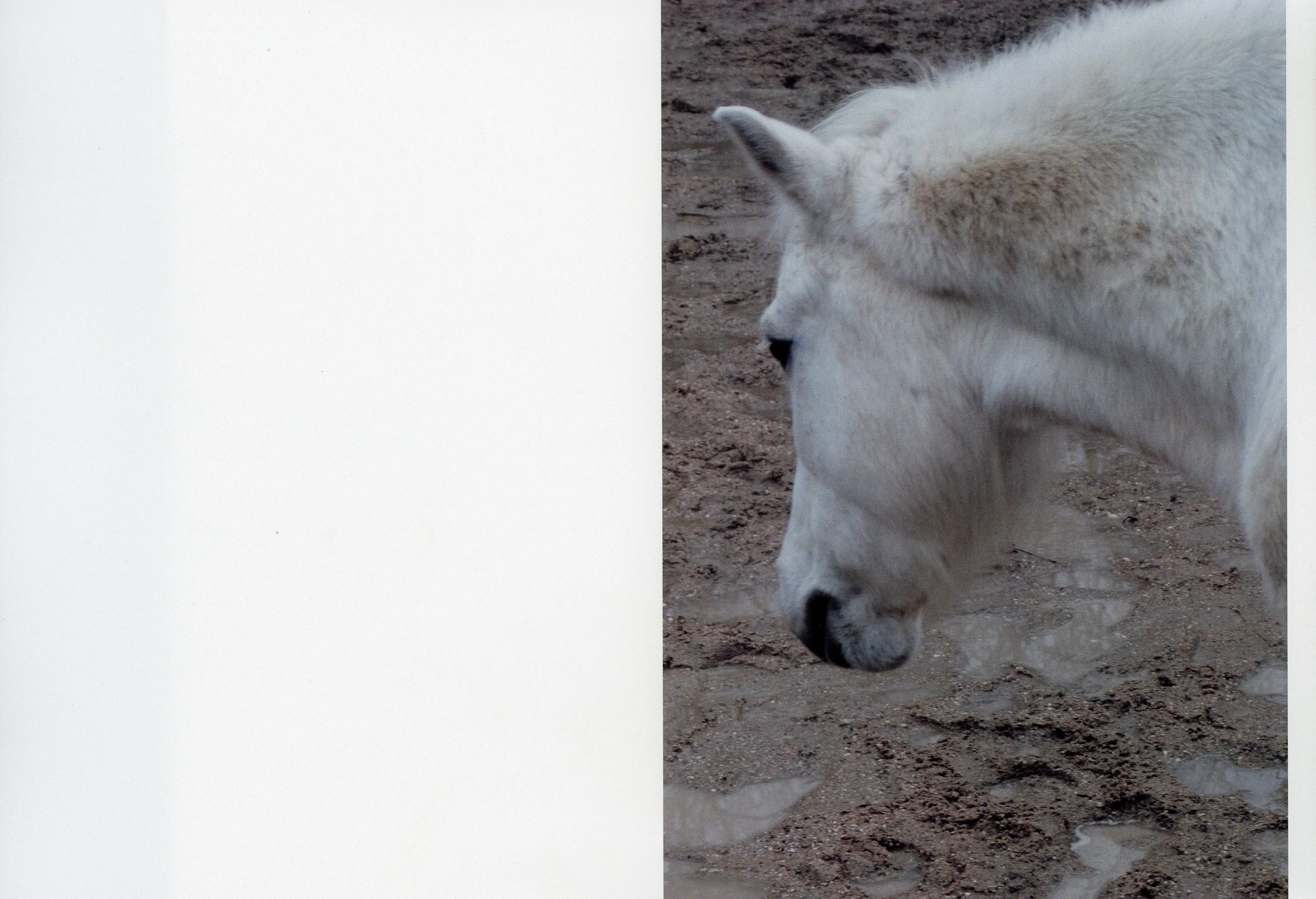 Campaign with Maja Lumholt 3